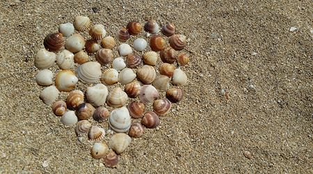Herz aus Muschel im Sand, Strand, Meer